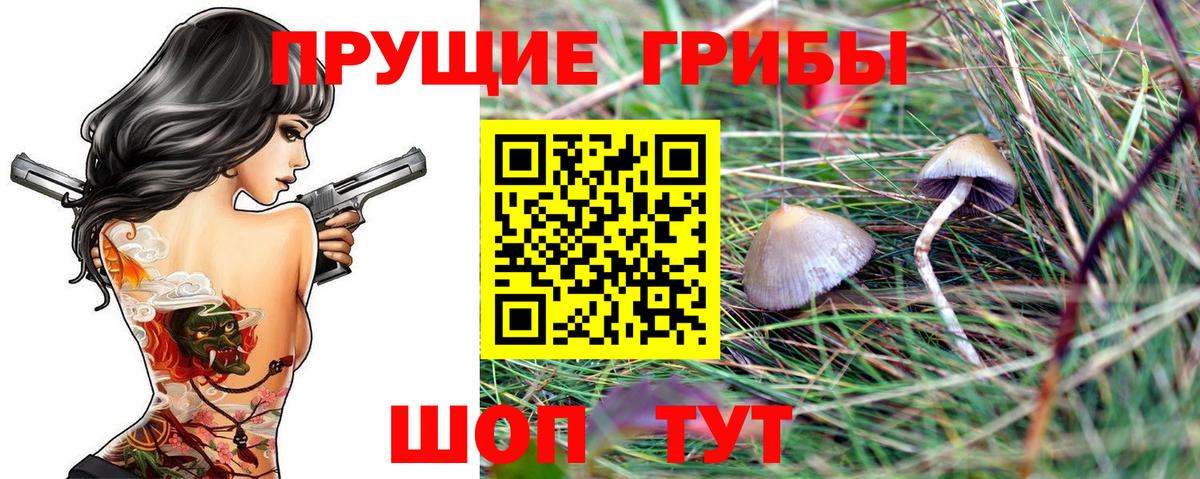 Галлюциногенные грибы мухоморы  Вход с VPN  Клинцы 